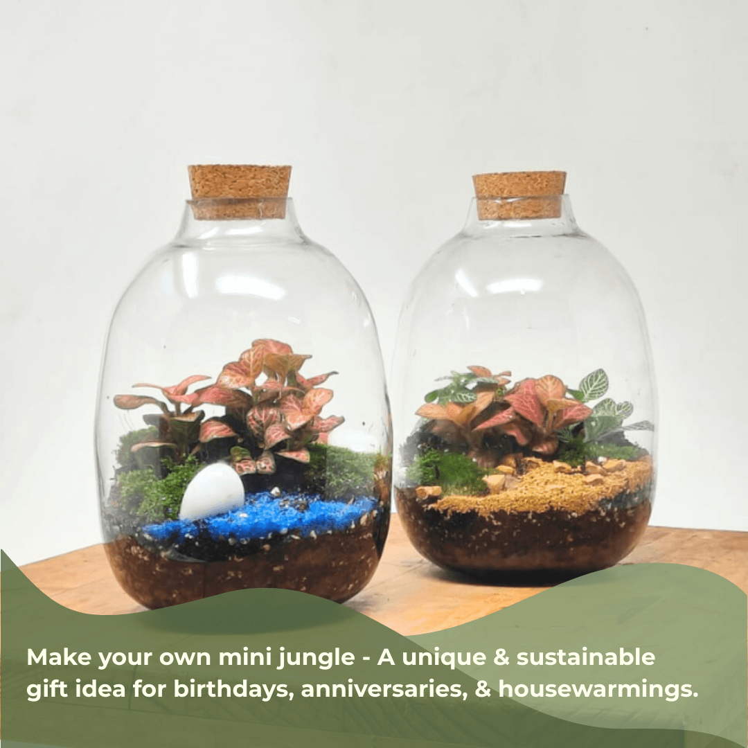 7" Oakley Closed Terrarium Glass Jar - Image 4