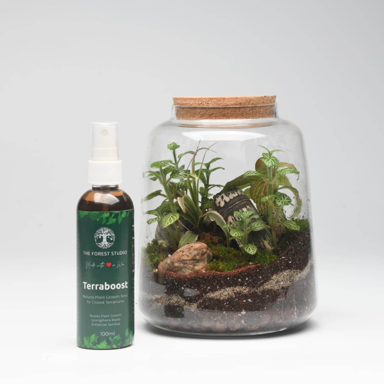 TerraBoost 100ml – Natural Plant Growth Tonic for Terrariums - Image 2