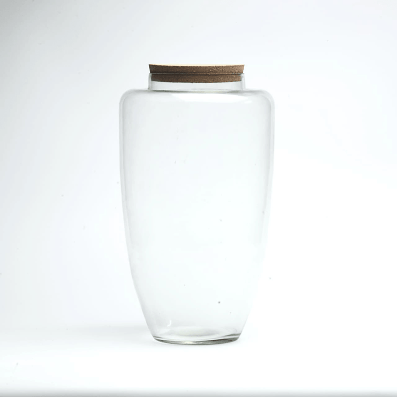 14" Arcadia Closed Terrarium Glass Jar