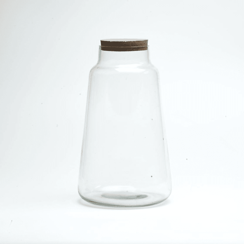 10" Cone Closed Terrarium Glass Jar