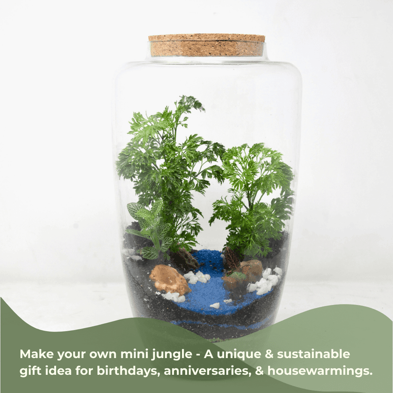 14" Arcadia Closed Terrarium Glass Jar - Image 4