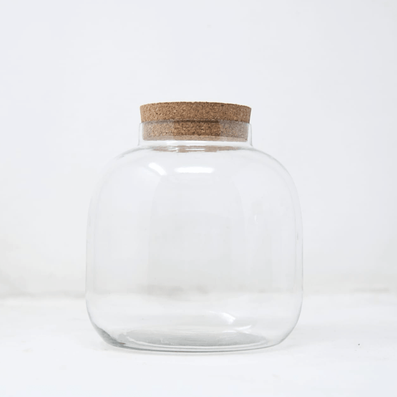 6" Amazonia Terrarium Glass Jar