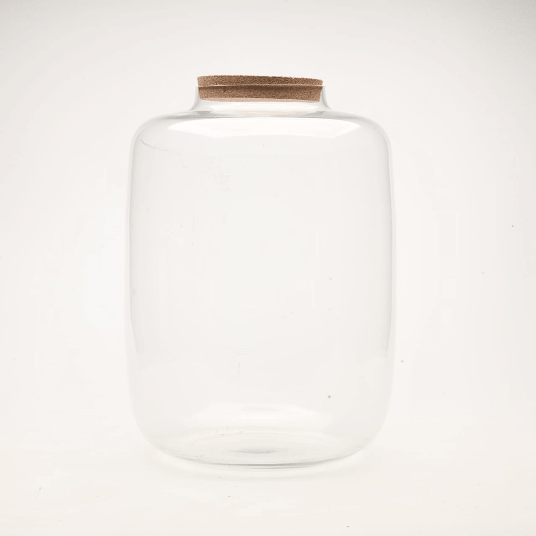 15" Amazonia Closed Terrarium Glass Jar