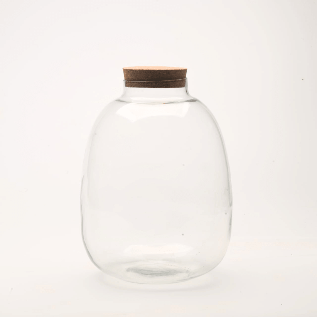 10" Oakley Closed Terrarium Glass Jar