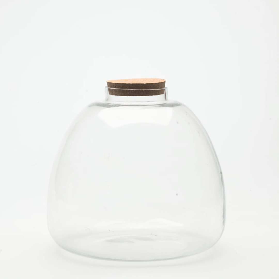 10" Terrabloom Closed Terrarium Glass Jar