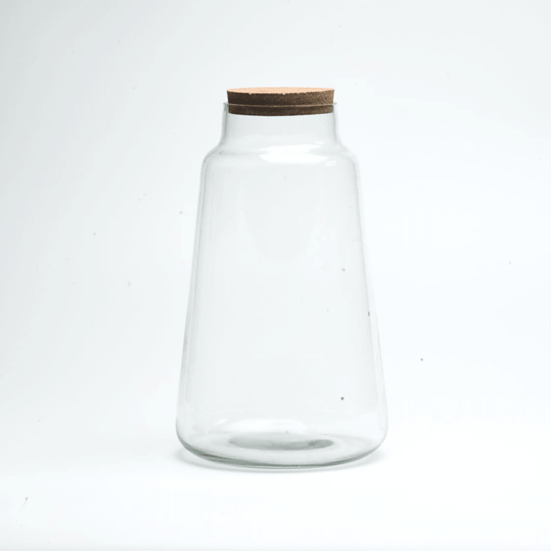 10" Cone Closed Terrarium Glass Jar