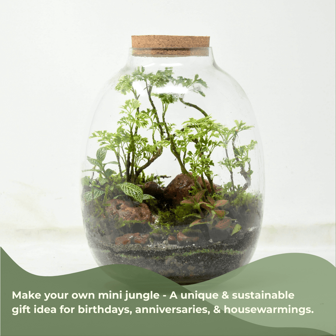 10" Oakley Closed Terrarium Glass Jar - Image 4