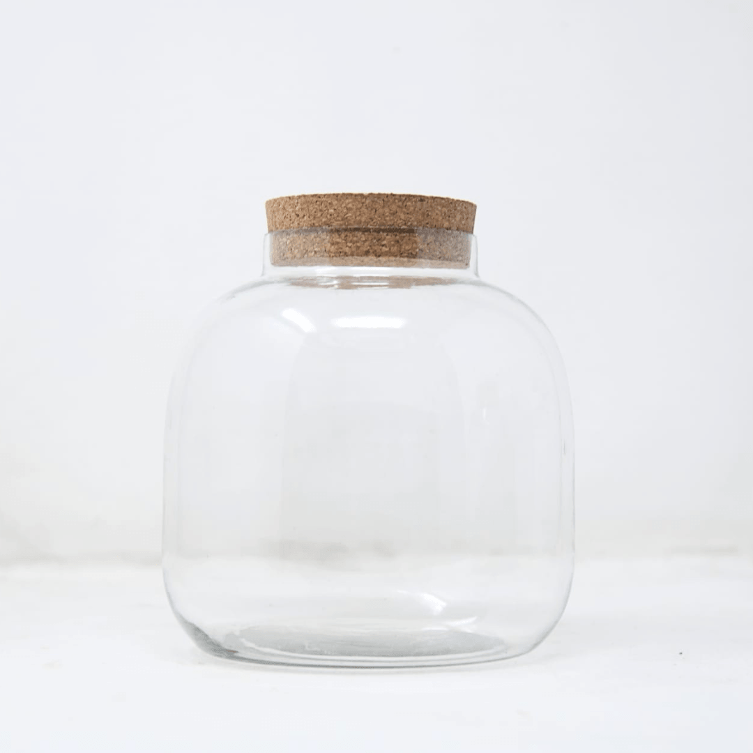 6" Amazonia Terrarium Glass Jar