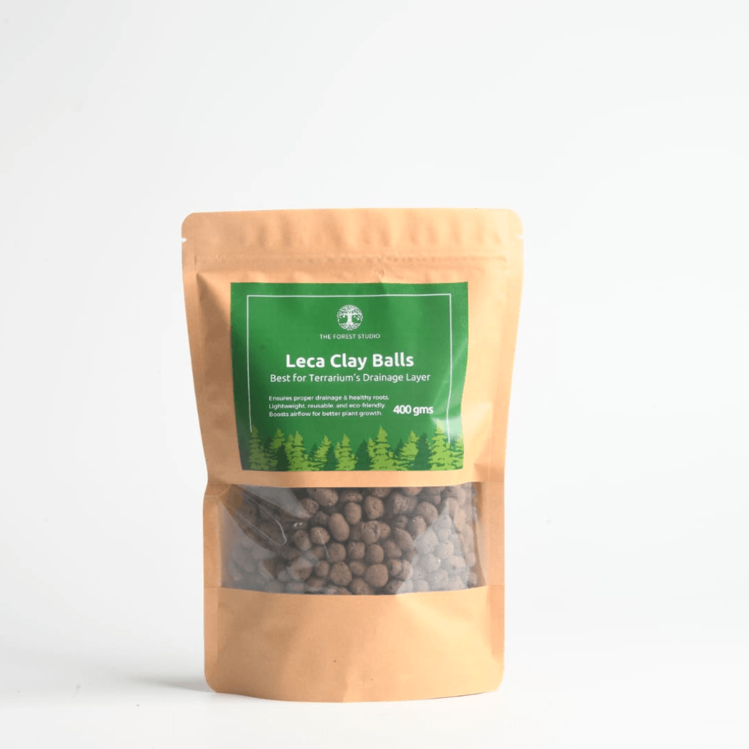 Premium Leca clay balls for terrariums