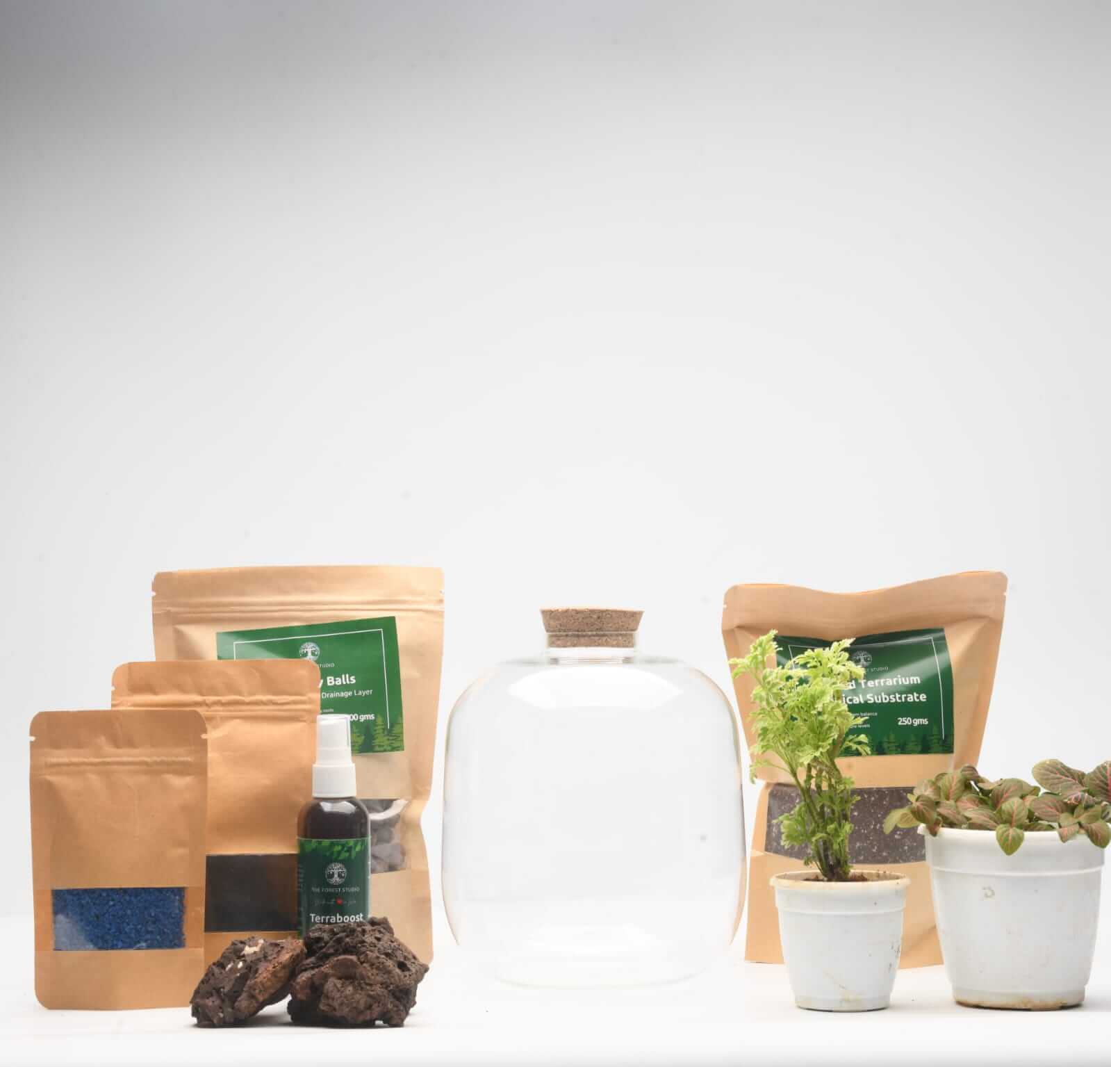 DIY Closed Terrarium Kit with 7" Amazonia Glass Jar