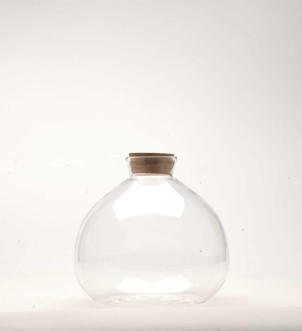 7" Terrabloom Closed Terrarium Glass Jar