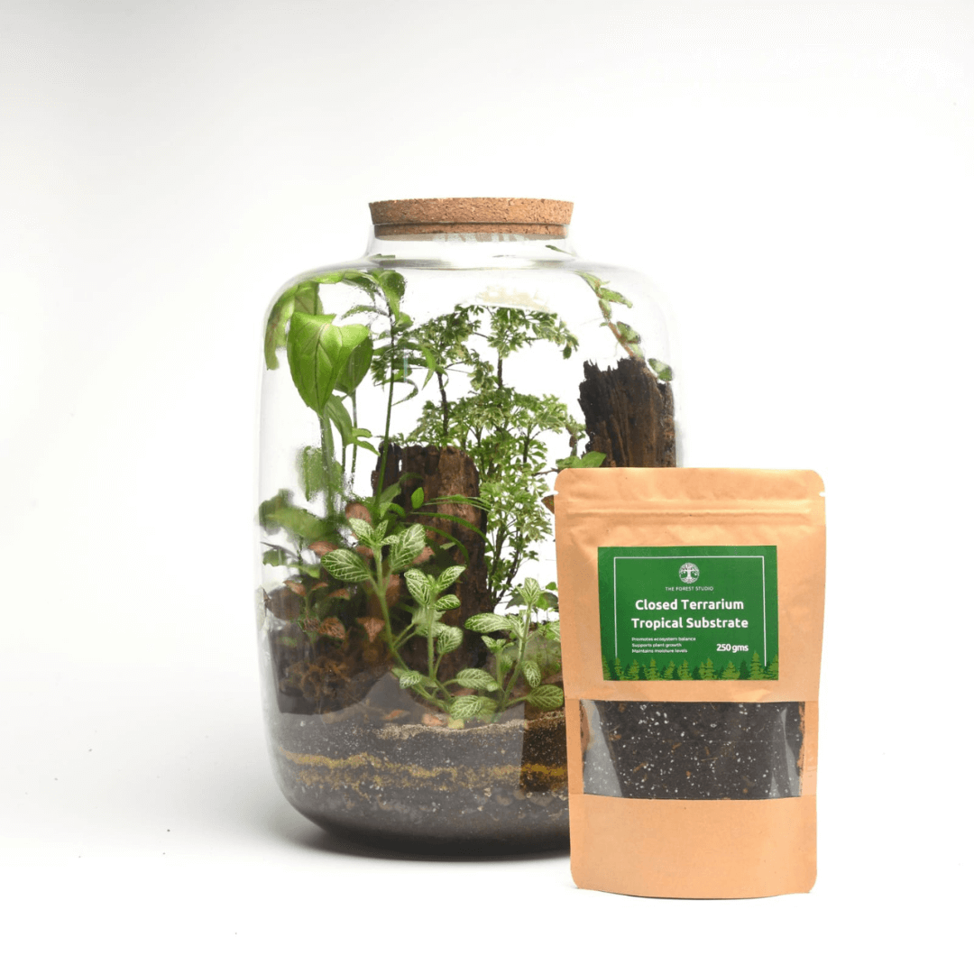 Closed Terrarium Tropical Substrate Soil