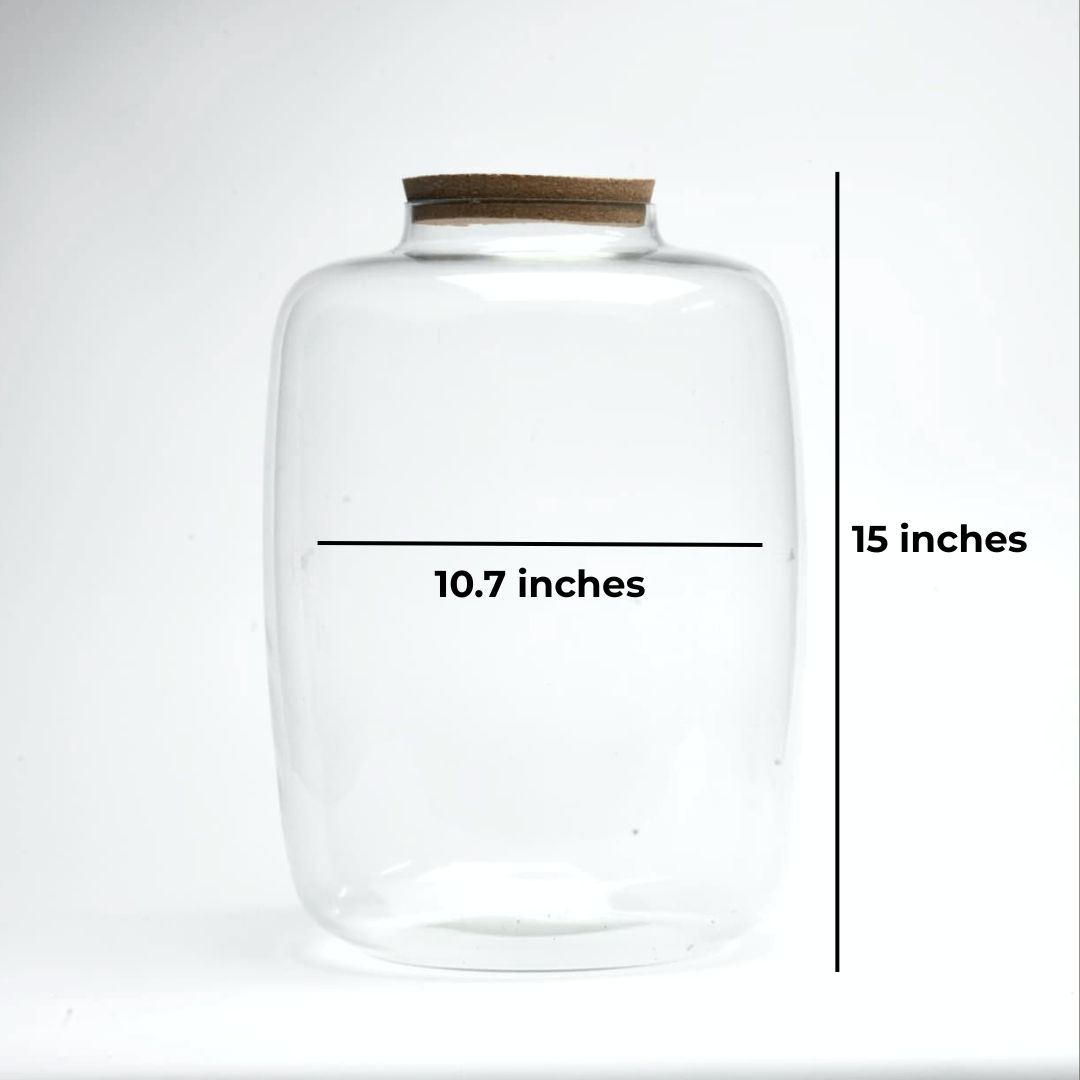 15" Amazonia Closed Terrarium Glass Jar - Image 2