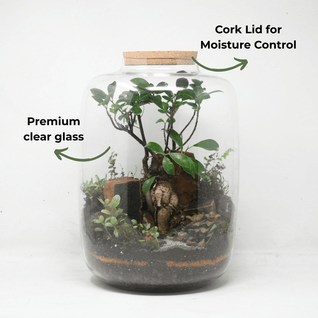 15" Amazonia Closed Terrarium Glass Jar - Image 3