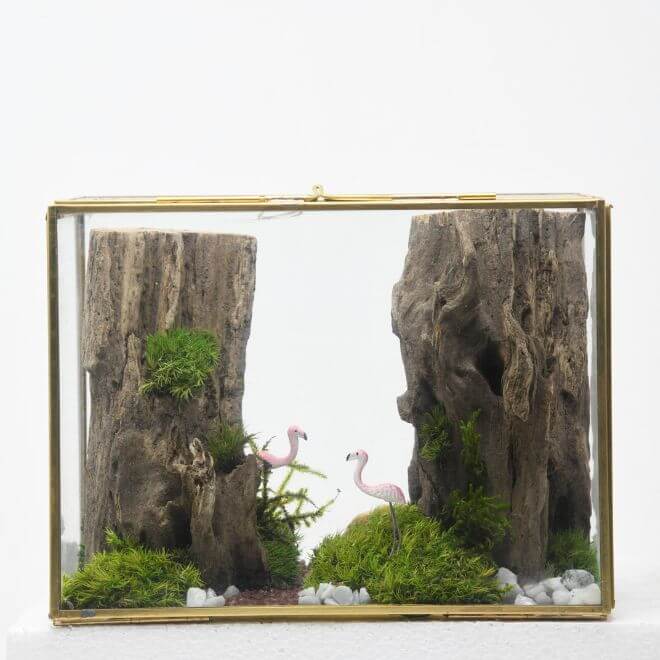 The Jungle Book - Pink Paradise