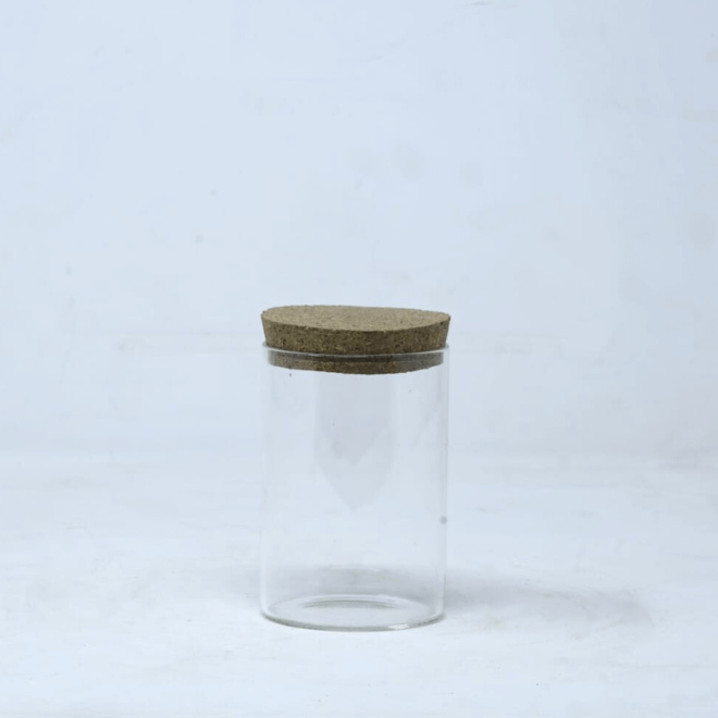 4" Mini Closed Terrarium Glass Jar