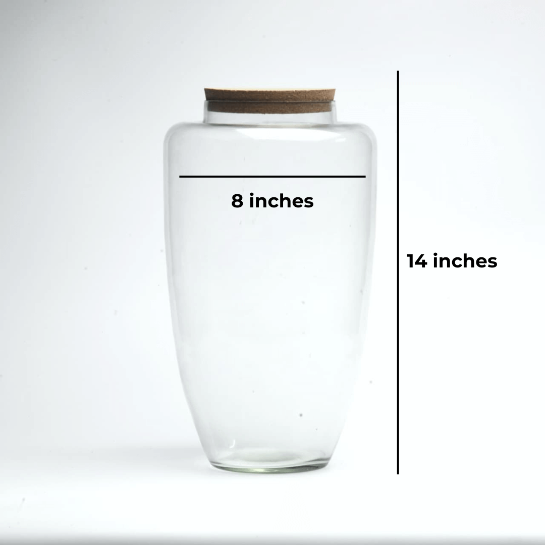 14" Arcadia Closed Terrarium Glass Jar - Image 2