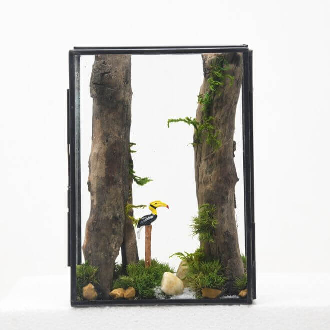 The Jungle Book - Tropical Whisper