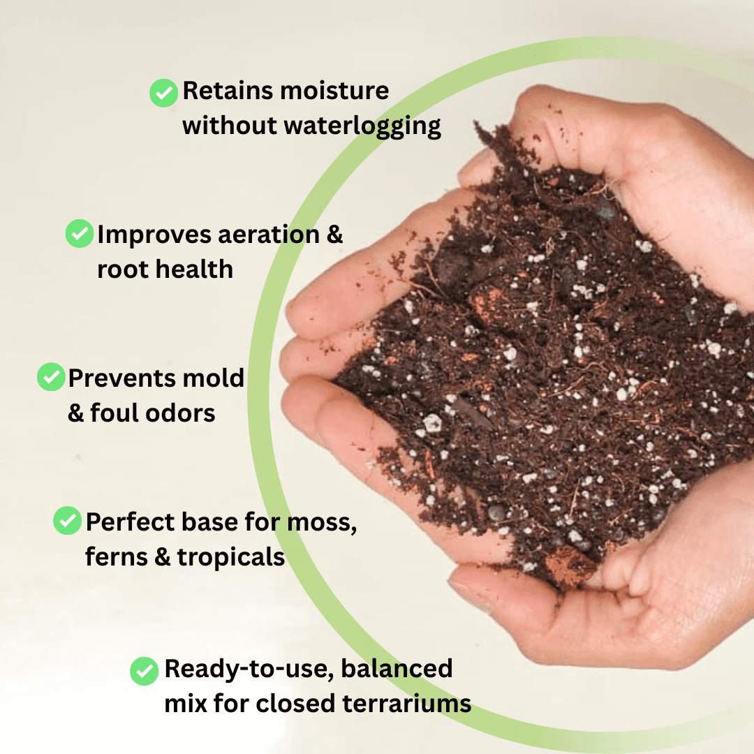 Closed Terrarium Tropical Substrate Soil - Image 2