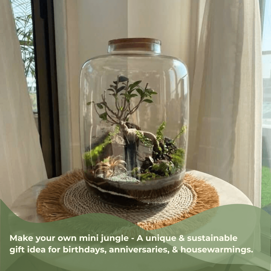 15" Amazonia Closed Terrarium Glass Jar - Image 4