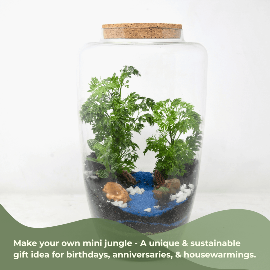 14" Arcadia Closed Terrarium Glass Jar - Image 4