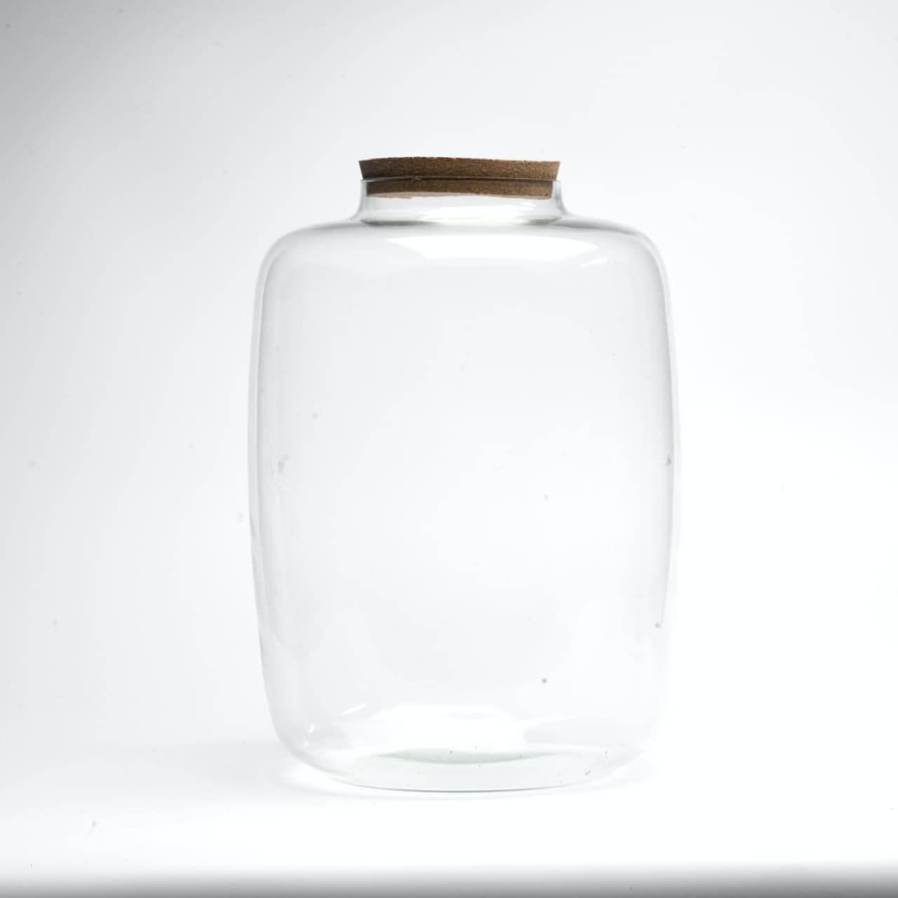 15" Amazonia Closed Terrarium Glass Jar