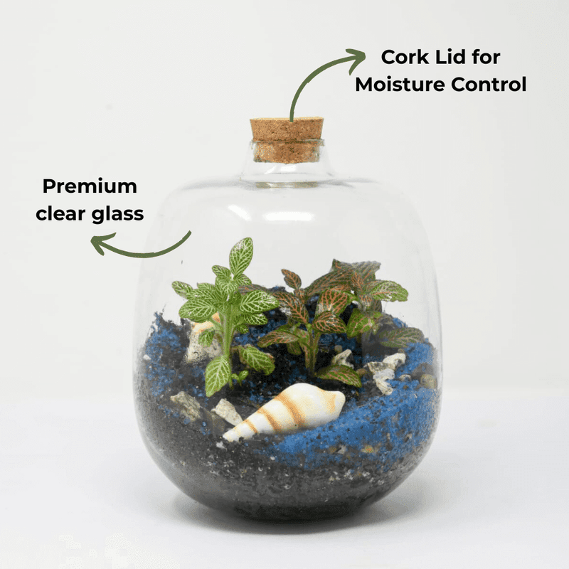 7" Amazonia Closed Terrarium Glass Jar - Image 3