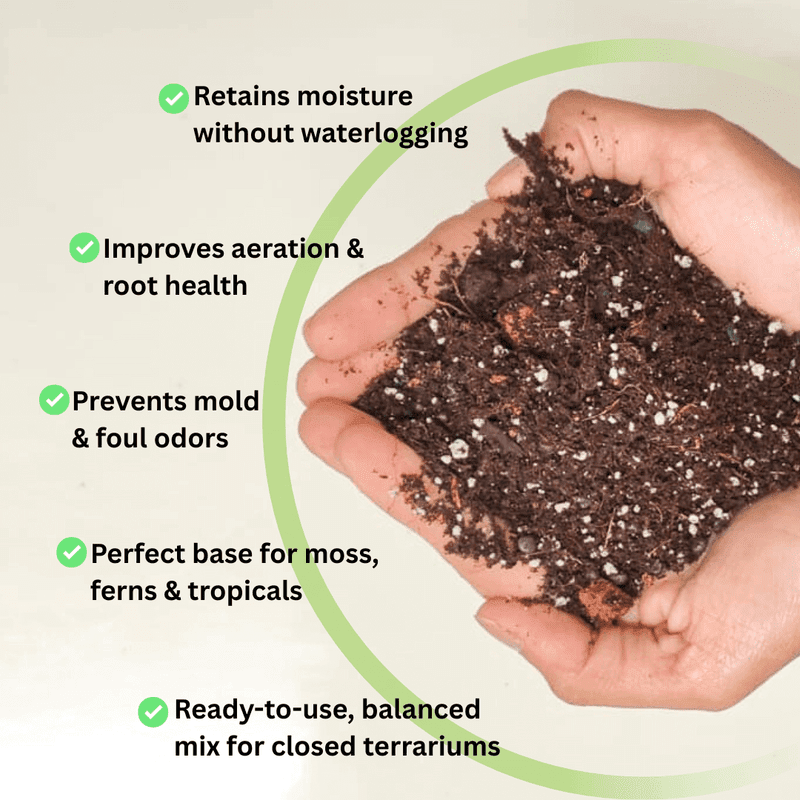 Closed Terrarium Tropical Substrate Soil - Image 2