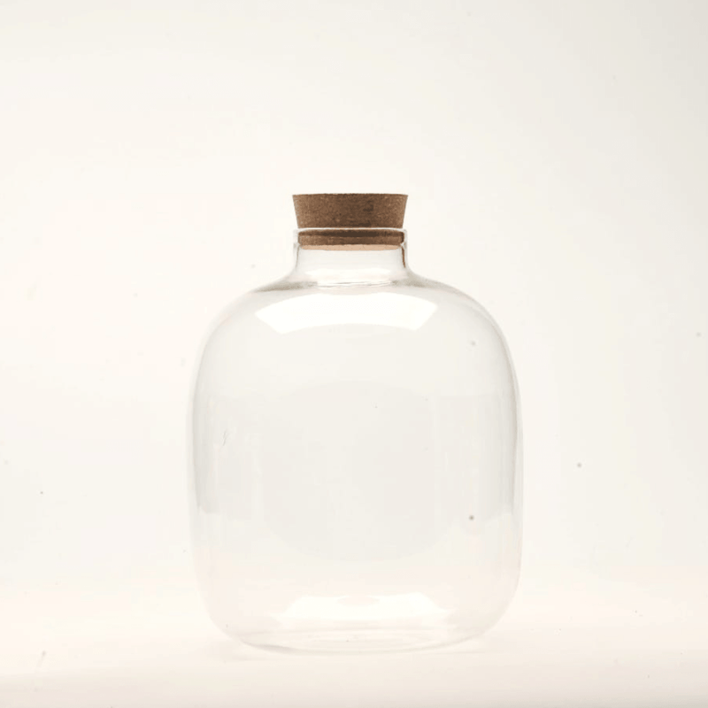 7" Amazonia Closed Terrarium Glass Jar