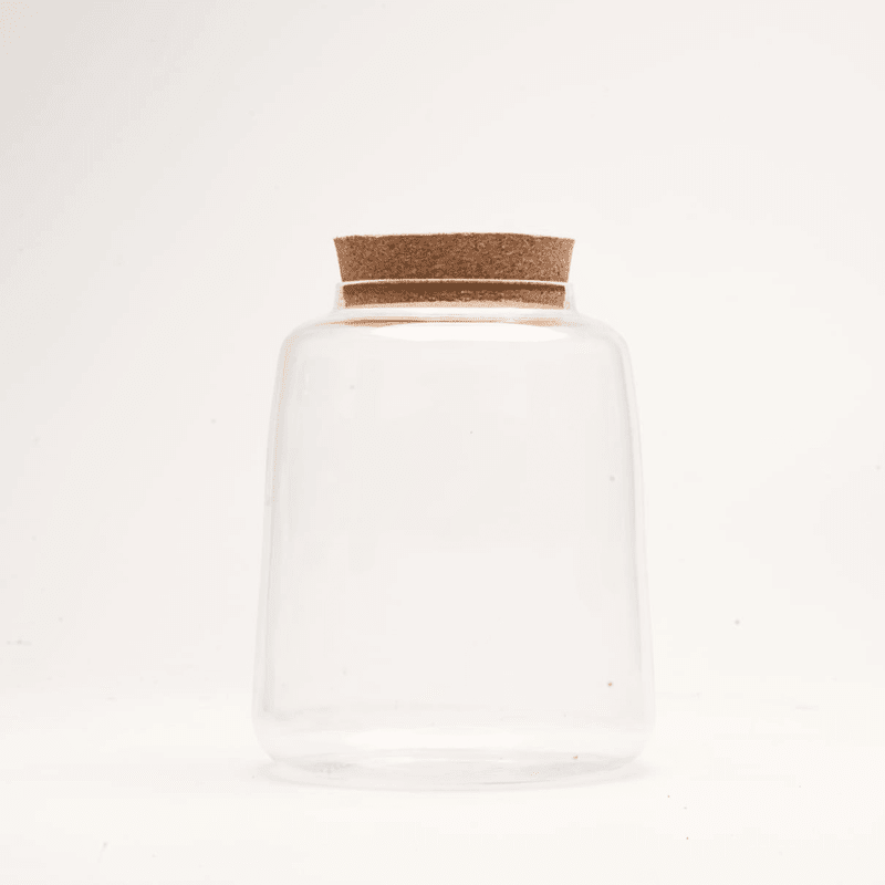 6" Mason Closed Terrarium Glass Jar
